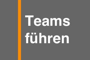 Teams führen